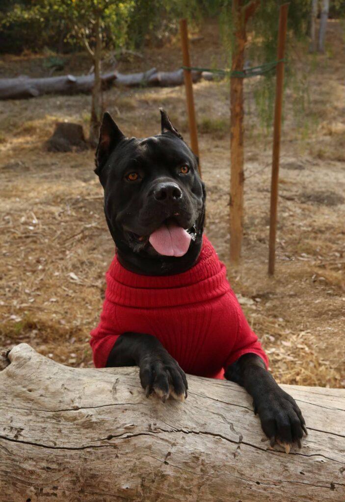 DF5E1C0D 34FD 4FFC A071 4248070572BA